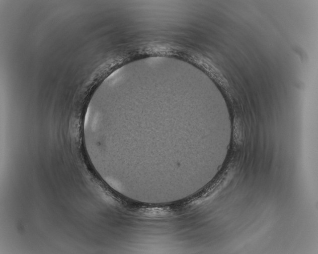 X0000112030449200909141100