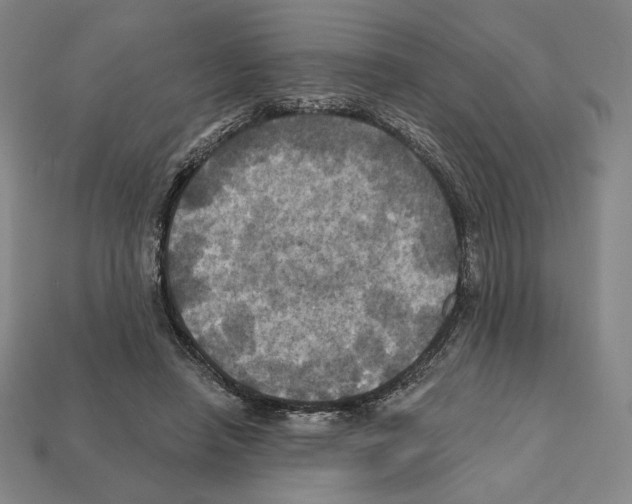 X0000112030450200909141100