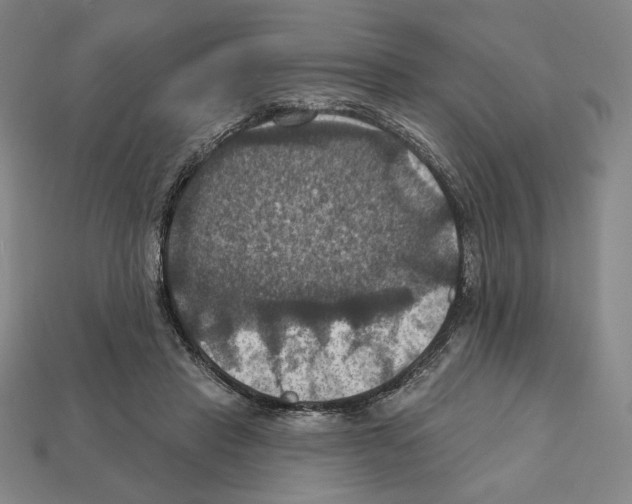 X0000112030453200909141100