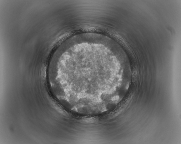 X0000112030454200909141100