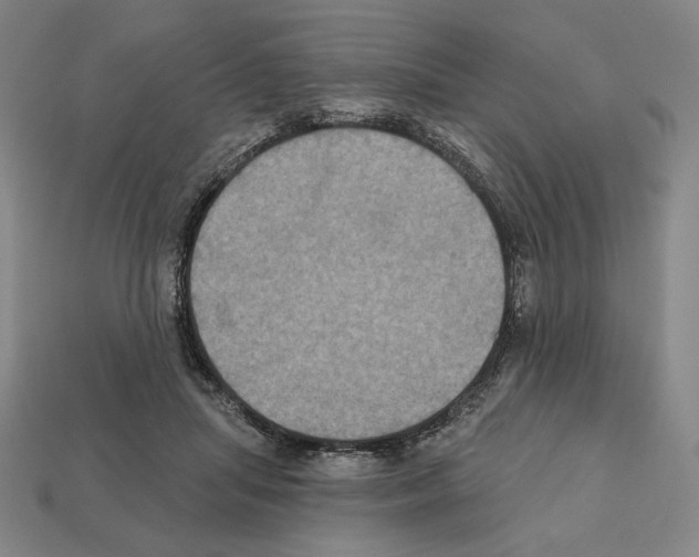X0000112030455200909141100