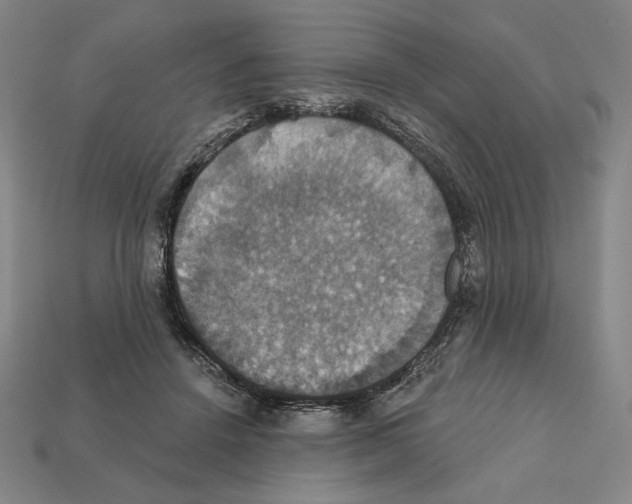 X0000112030456200909141100