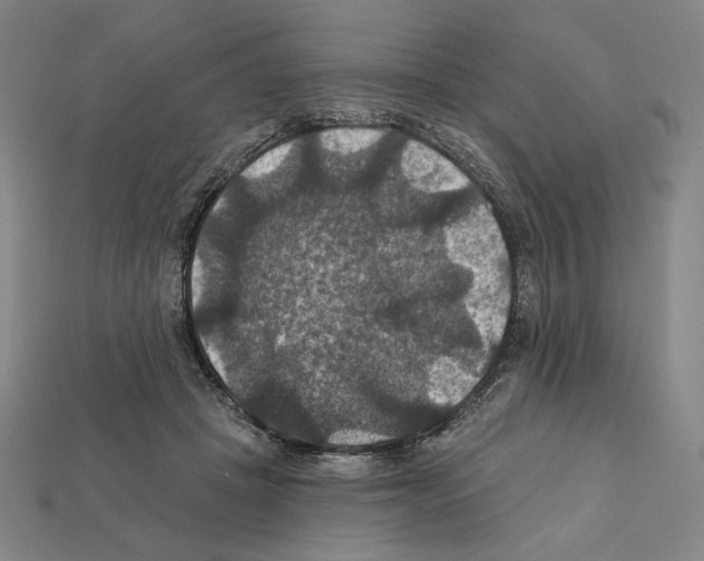 X0000112030457200909141100