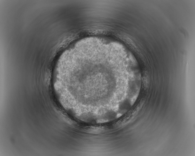 X0000112030458200909141100
