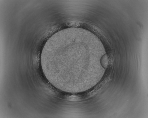 X0000112030460200909141100