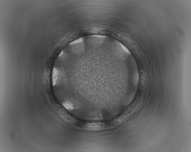X0000112030461200909141100