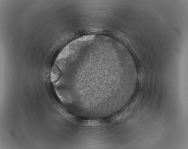X0000112030462200909141100