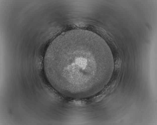 X0000112030464200909141100