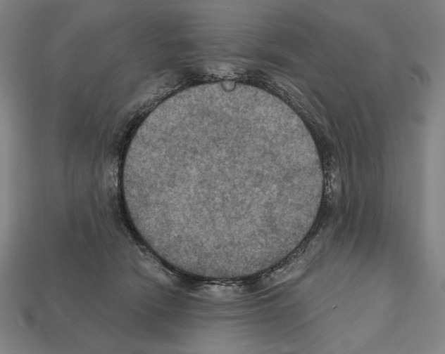 X0000112030466200909141100