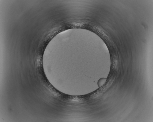 X0000112030467200909141100