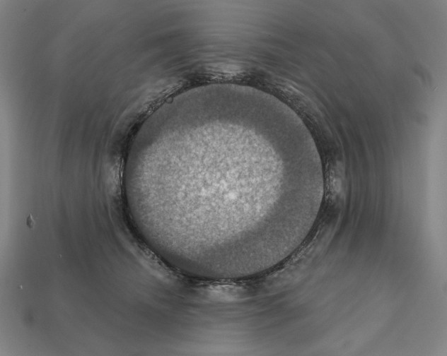 X0000112030468200909141100