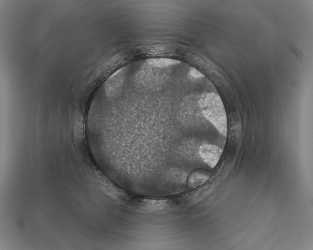 X0000112030469200909141100