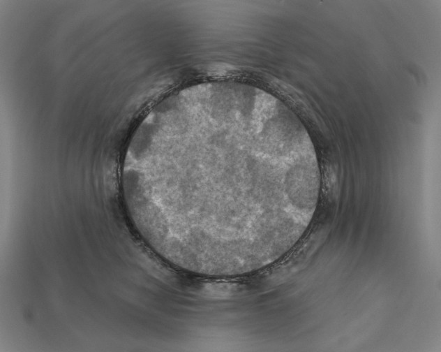X0000112030470200909141100