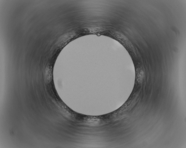 X0000112030471200909141100