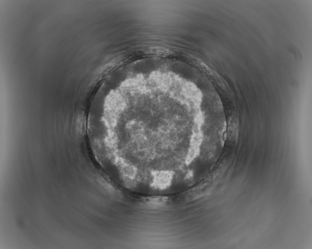 X0000112030474200909141100