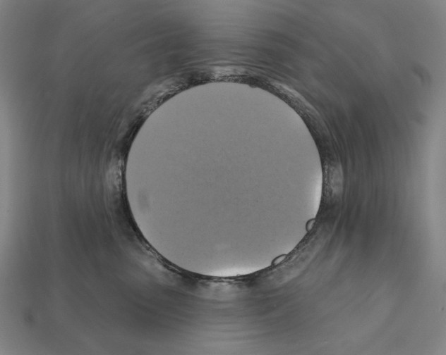 X0000112030475200909141100