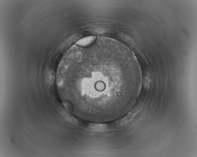 X0000112030476200909141100