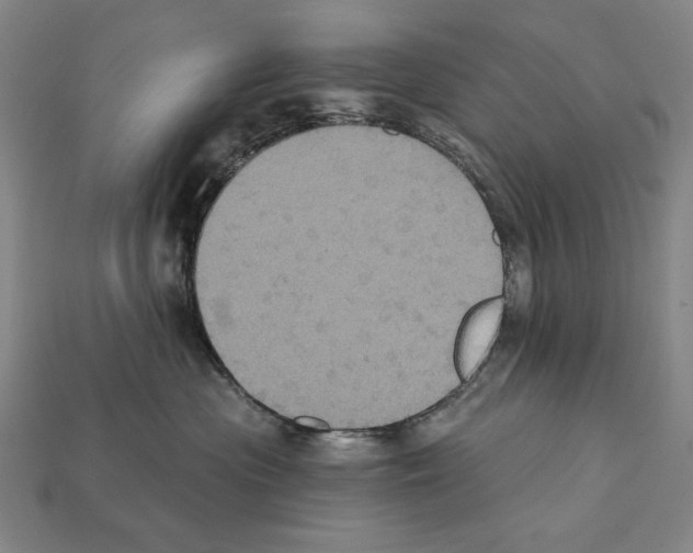 X0000112030477200909141100