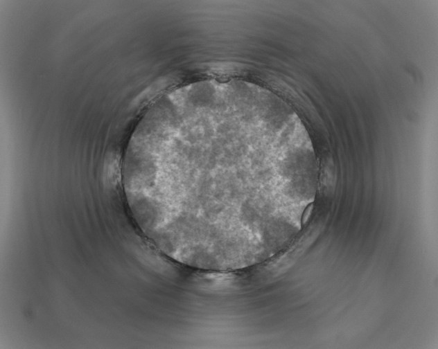 X0000112030478200909141100