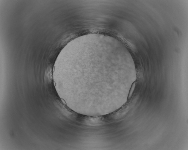 X0000112030479200909141100