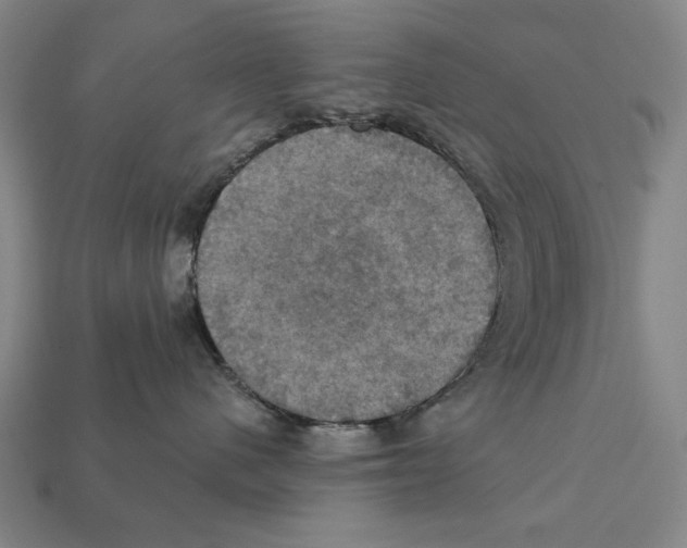 X0000112030480200909141100