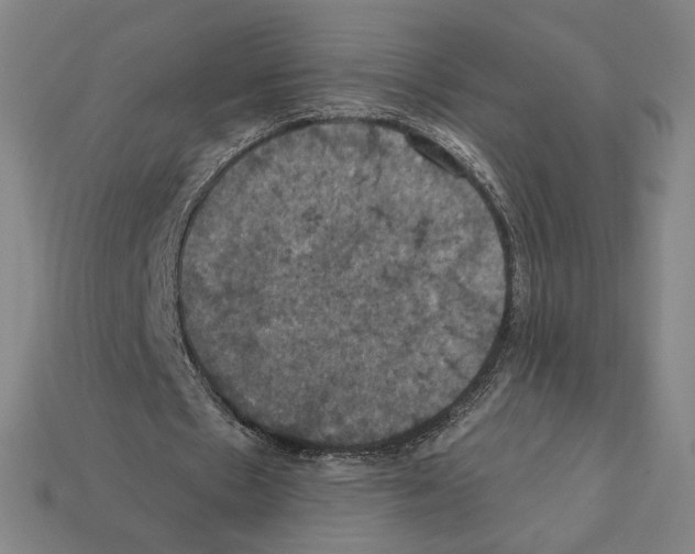 X0000112030481200909141100