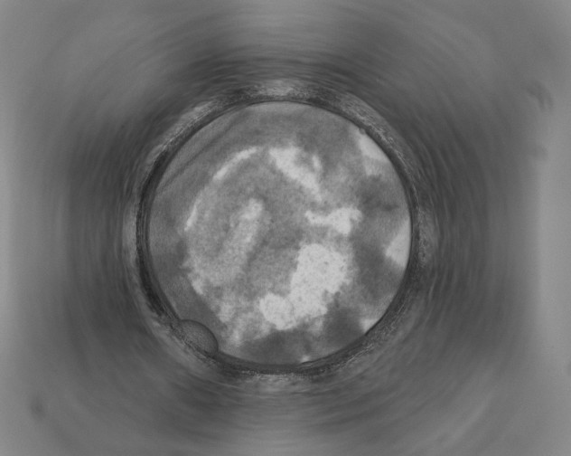 X0000112030482200909141100