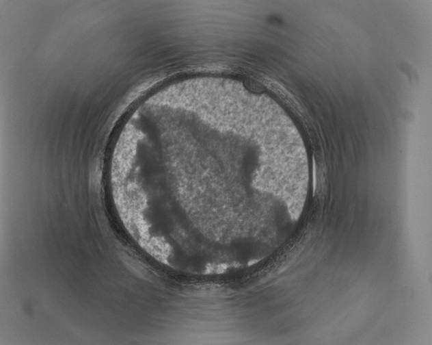 X0000112030483200909141100
