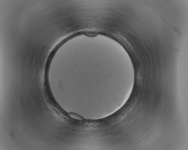 X0000112030484200909141100