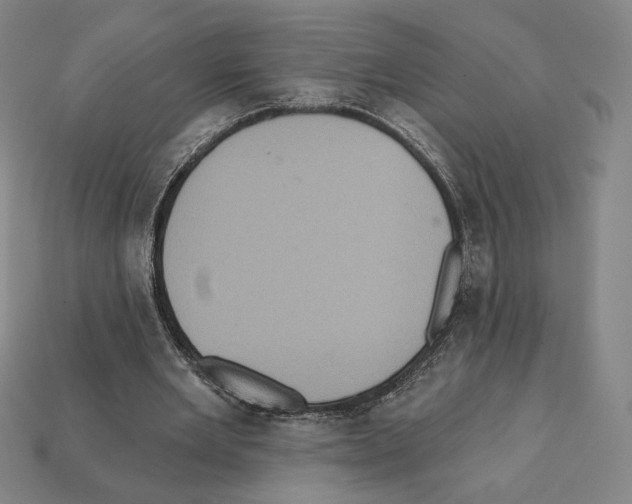 X0000112030485200909141100