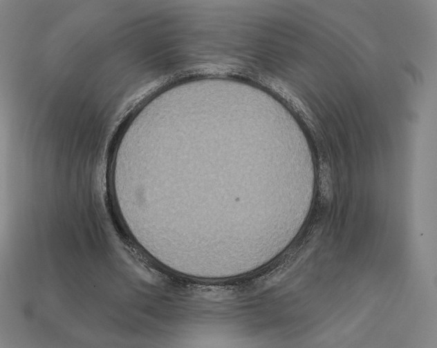 X0000112030486200909141100