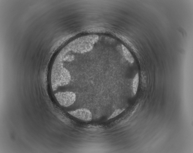 X0000112030487200909141100