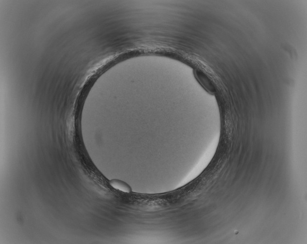 X0000112030488200909141100