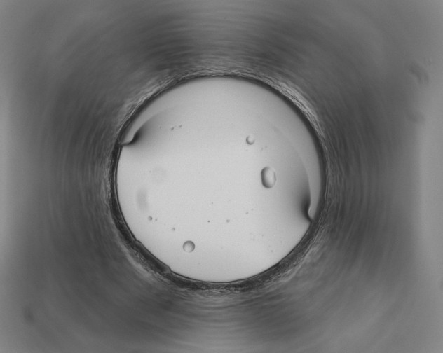X0000112030489200909141100