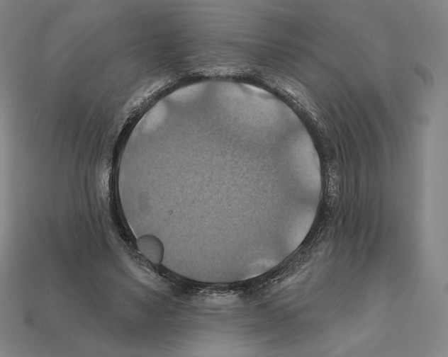 X0000112030491200909141100