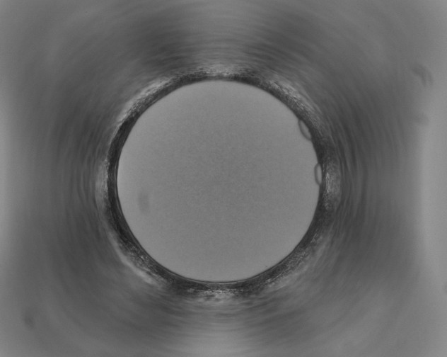 X0000112030492200909141100