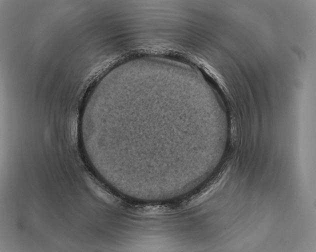 X0000112030493200909141100