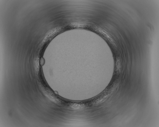 X0000112030494200909141100