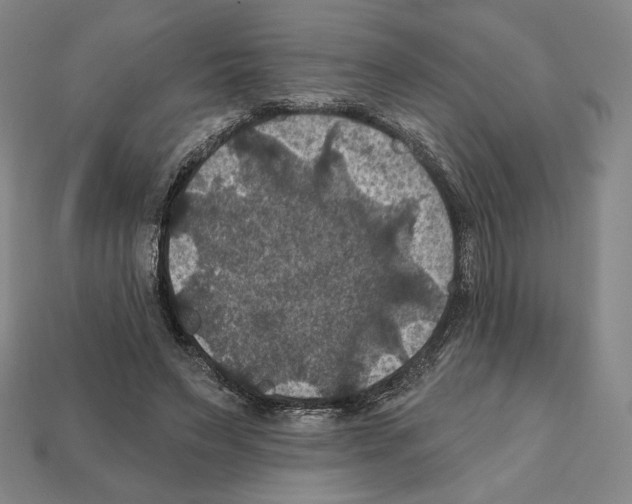 X0000112030495200909141100