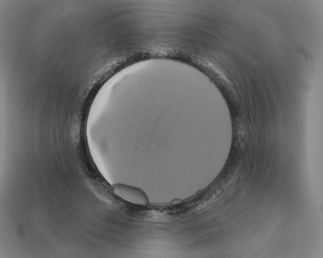 X0000112030496200909141100