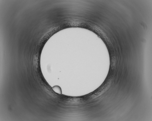 X0000112030497200909141100