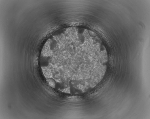 X0000112030499200909141100