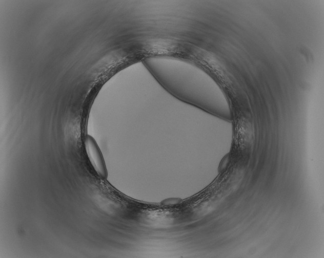X0000112030500200909141100