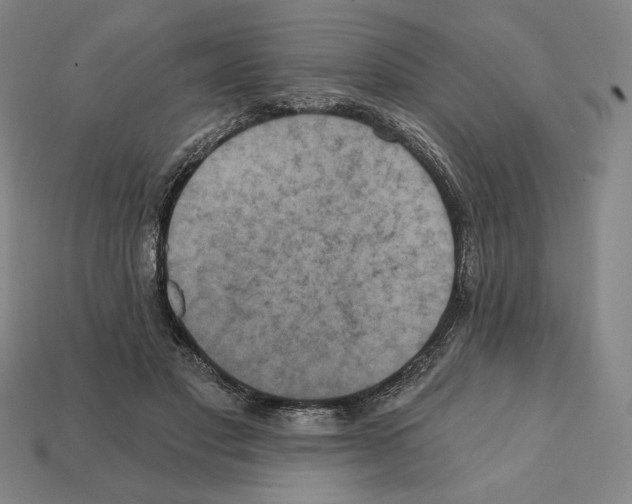 X0000112030501200909141059