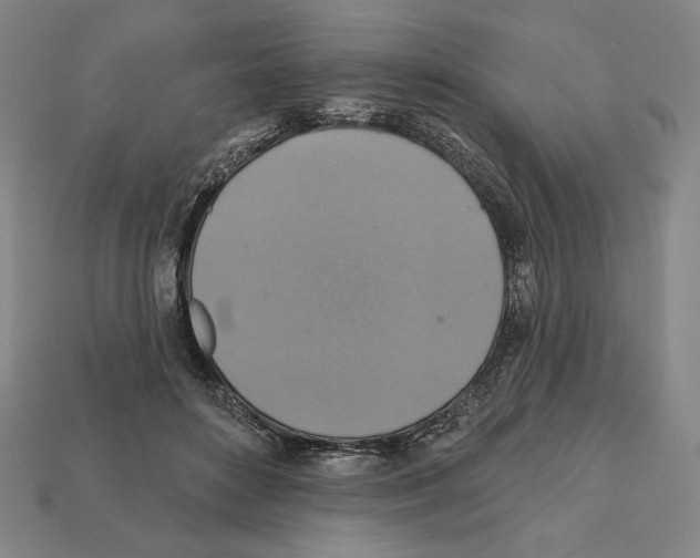 X0000112030504200909141059