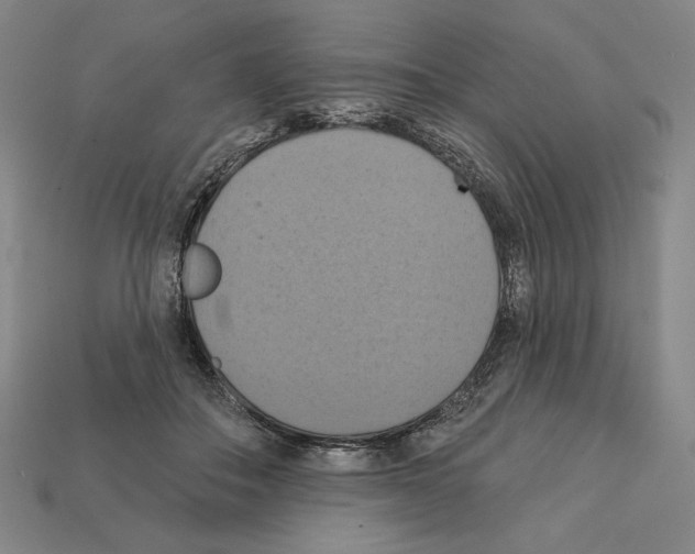 X0000112030506200909141059
