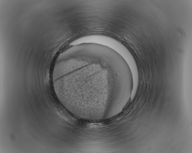 X0000112030508200909141059