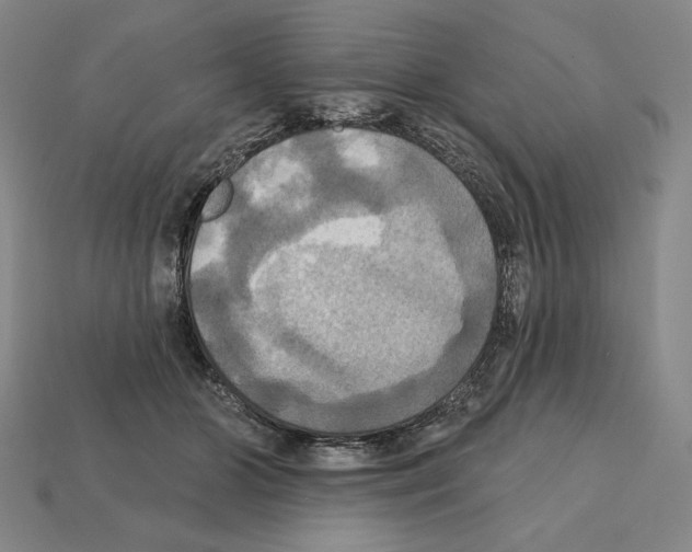 X0000112030510200909141059