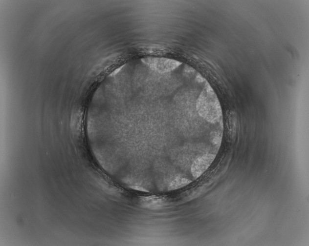 X0000112030511200909141059