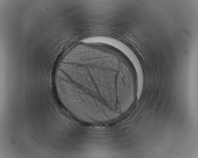 X0000112030512200909141059